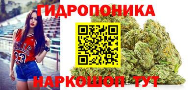 a pvp Камышлов