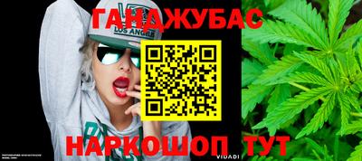 a pvp Камышлов