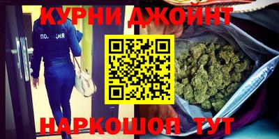 a pvp Камышлов