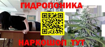 a pvp Камышлов
