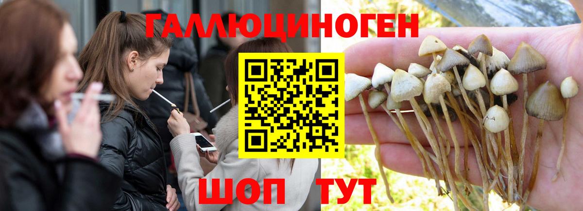 Псилоцибиновые грибы мухоморы  Вход с VPN  Элиста  Галлюциногенные грибы ЛСД 