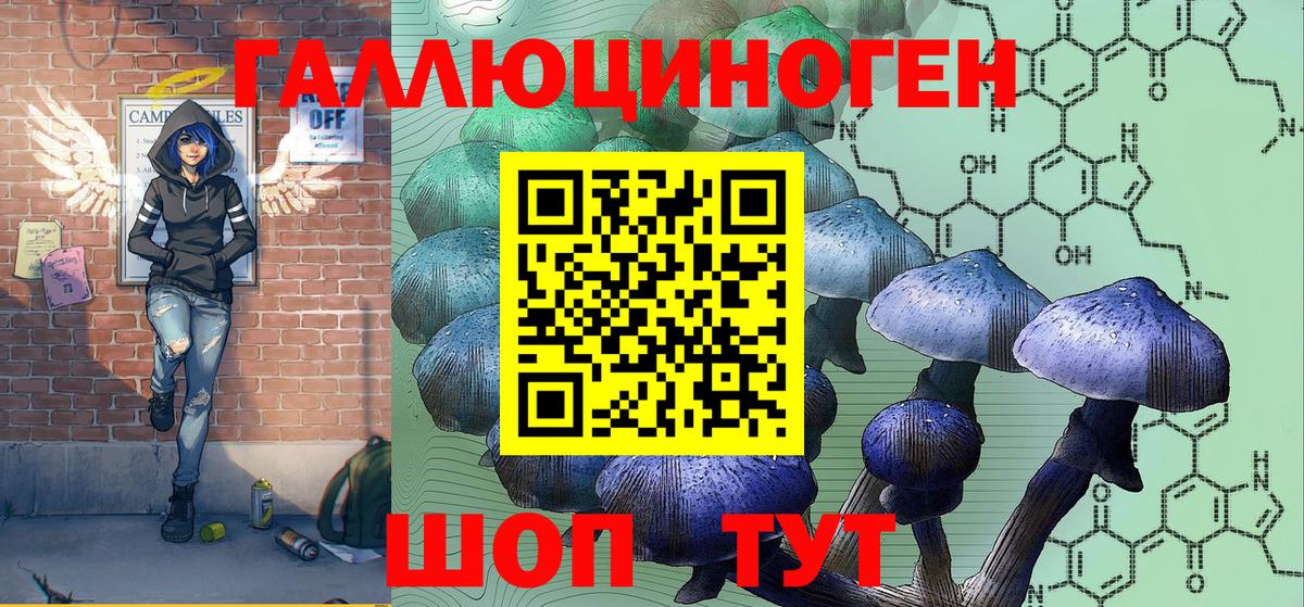 Псилоцибиновые грибы Psilocybine cubensis Элиста